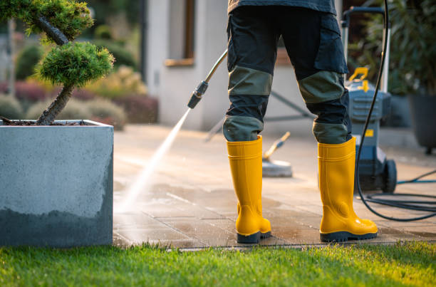 Best Power Washing Near Me  in North Aurora, IL